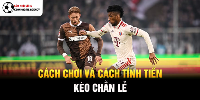Cách chơi và cách tính tiền kèo chẵn lẻ
