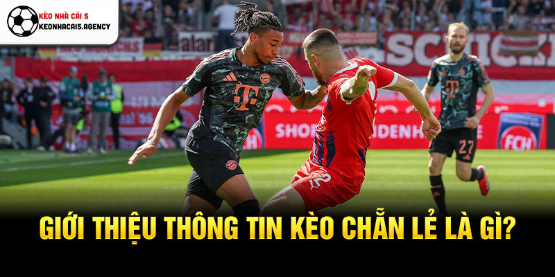 Giới thiệu thông tin kèo chẵn lẻ là gì?