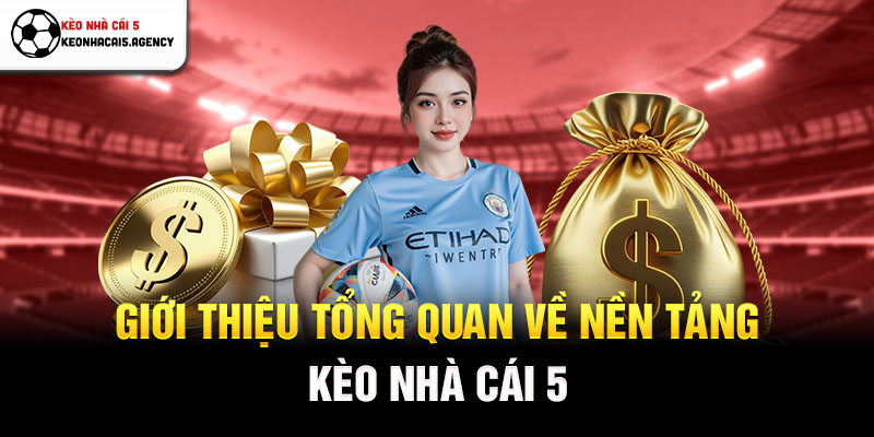 Giới thiệu tổng quan về nền tảng Kèo Nhà Cái 5