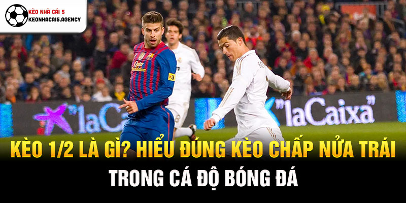Kèo 1/2 là gì? Hiểu đúng kèo chấp nửa trái trong cá độ bóng đá