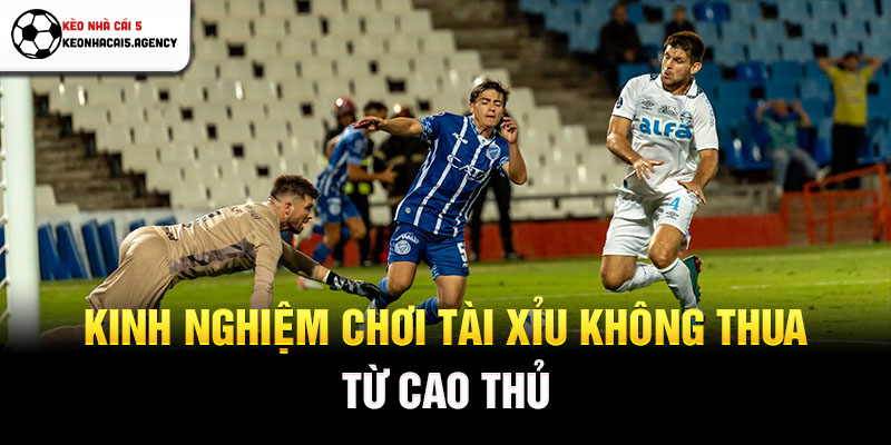 Kinh nghiệm chơi tài xỉu không thua từ cao thủ