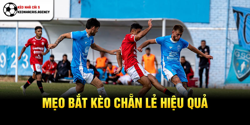 Mẹo bắt kèo chẵn lẻ hiệu quả