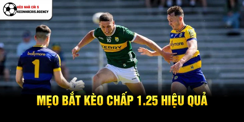 Mẹo bắt kèo chấp 1.25 hiệu quả
