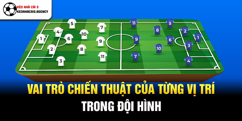 Vai trò chiến thuật của từng vị trí trong đội hình